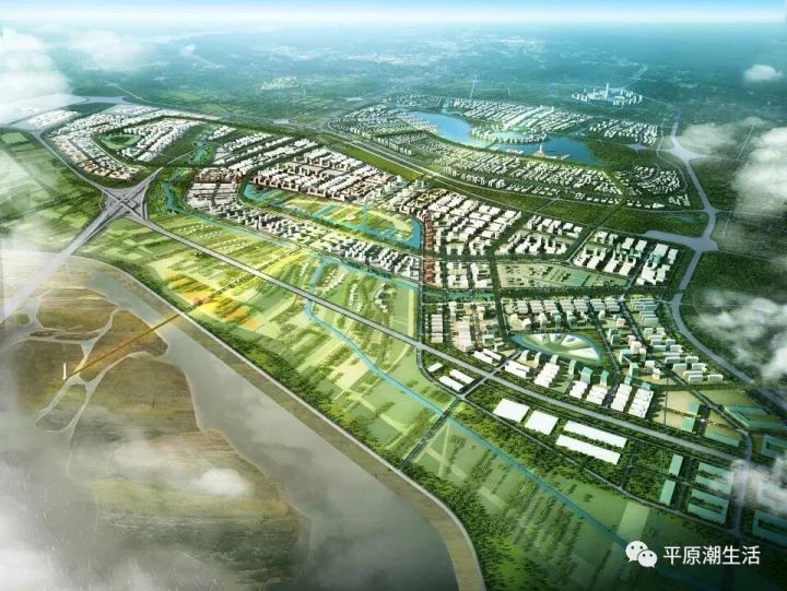 平原新區(qū)新脈動(dòng)，城市發(fā)展與溫馨日常的最新消息