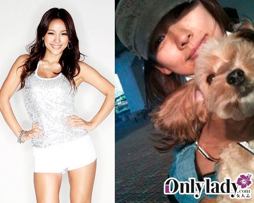 近期逝去的明星，璀璨之星的黯淡落幕