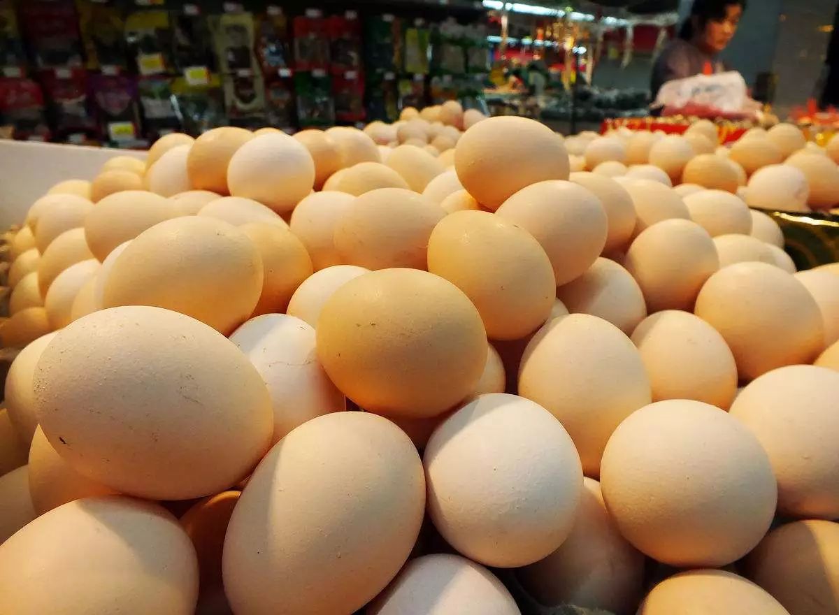 浙江今日雞蛋價(jià)格行情概覽與深度分析