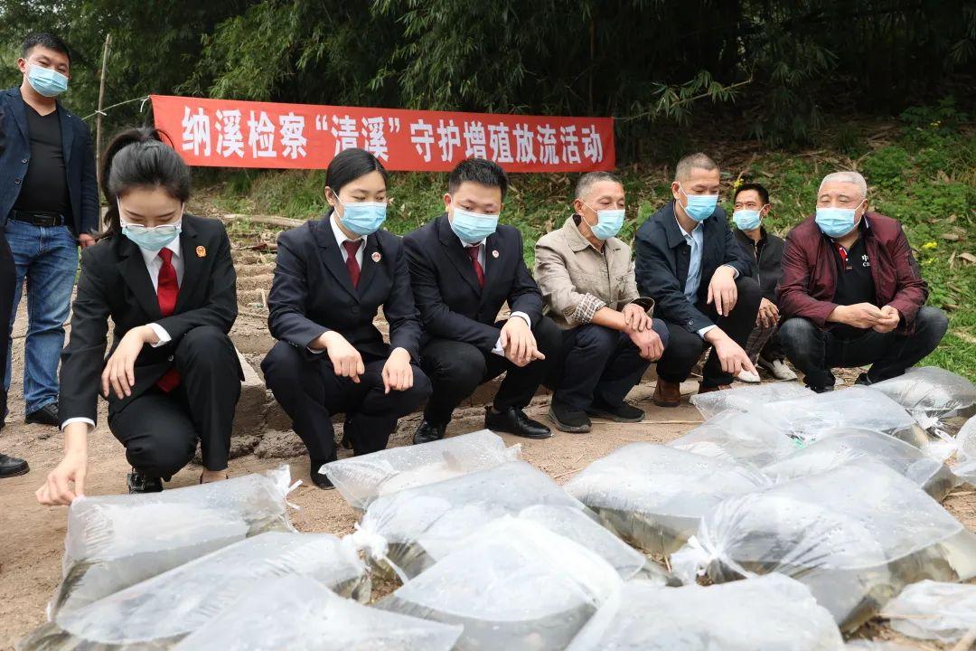 瀘州納溪規(guī)劃賠償信息,瀘州納溪規(guī)劃賠償信息解讀