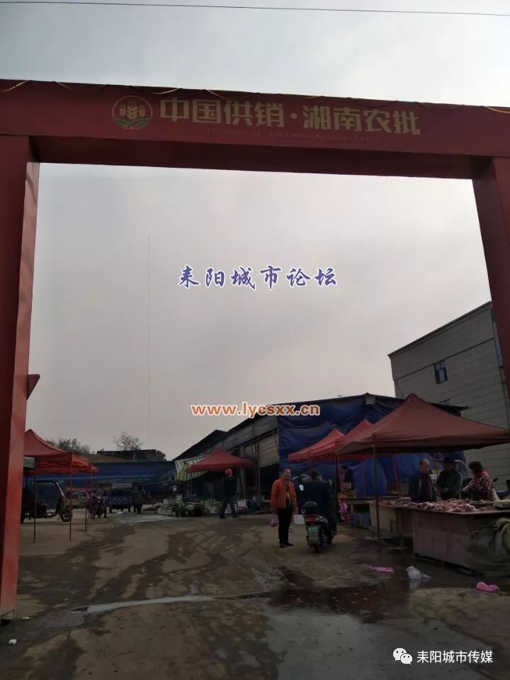 湘南大市場最新動(dòng)態(tài)，一場溫馨的市場奇遇探索