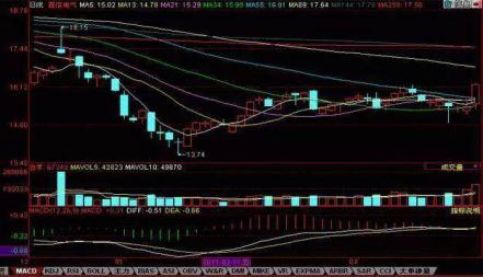 邁向財(cái)務(wù)自由，股票買入指南與勵(lì)志攻略