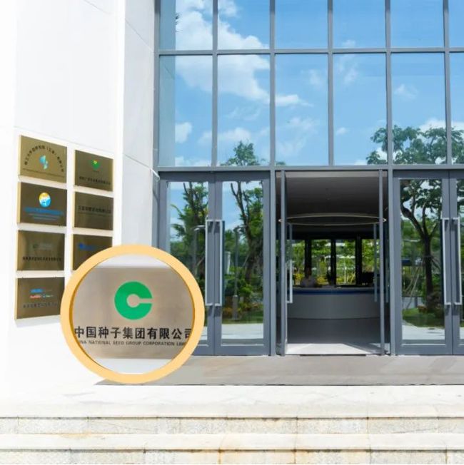 臺(tái)風(fēng)影響下的海南高鐵動(dòng)態(tài)與小巷特色小店探索