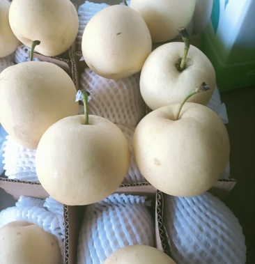 河北皇冠梨最新報(bào)價(jià)及品質(zhì)佳果價(jià)格走勢(shì)分析