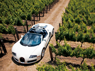 布嘉迪全面指南,最新資訊與如何獲取更新動(dòng)態(tài)