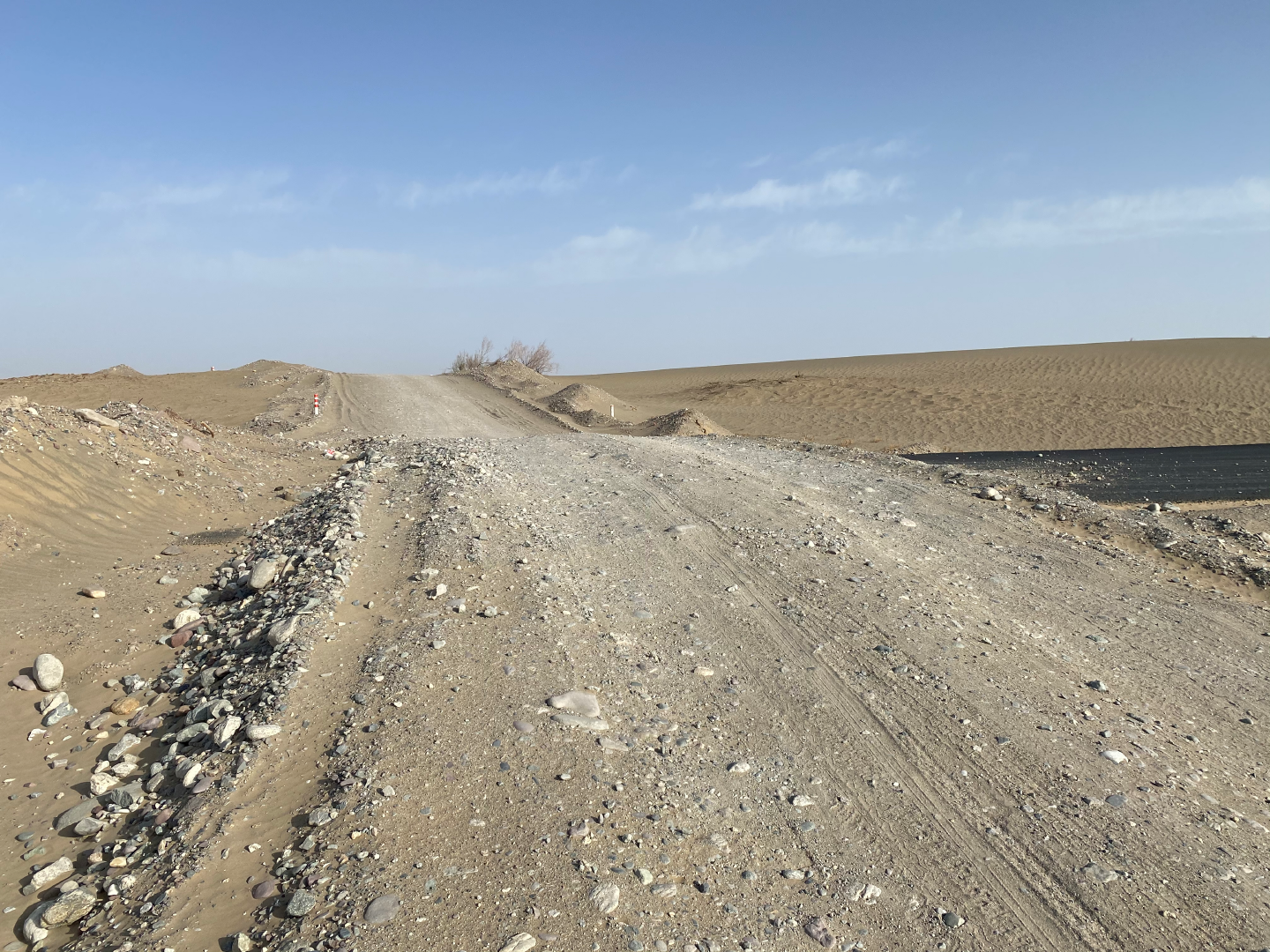 216國道實時路況最新信息指南