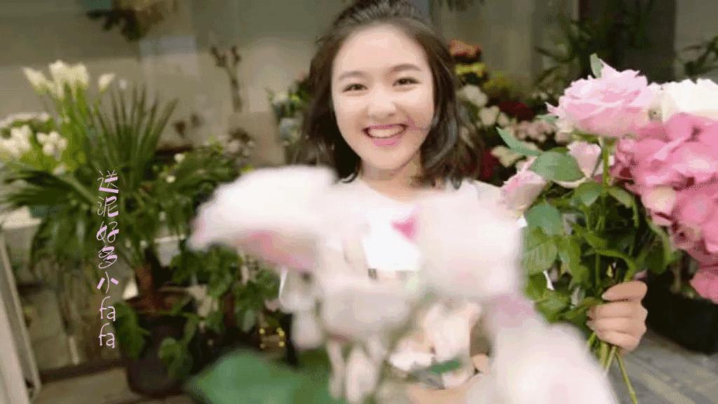 小紅書(shū)風(fēng)格明星介紹英文作文