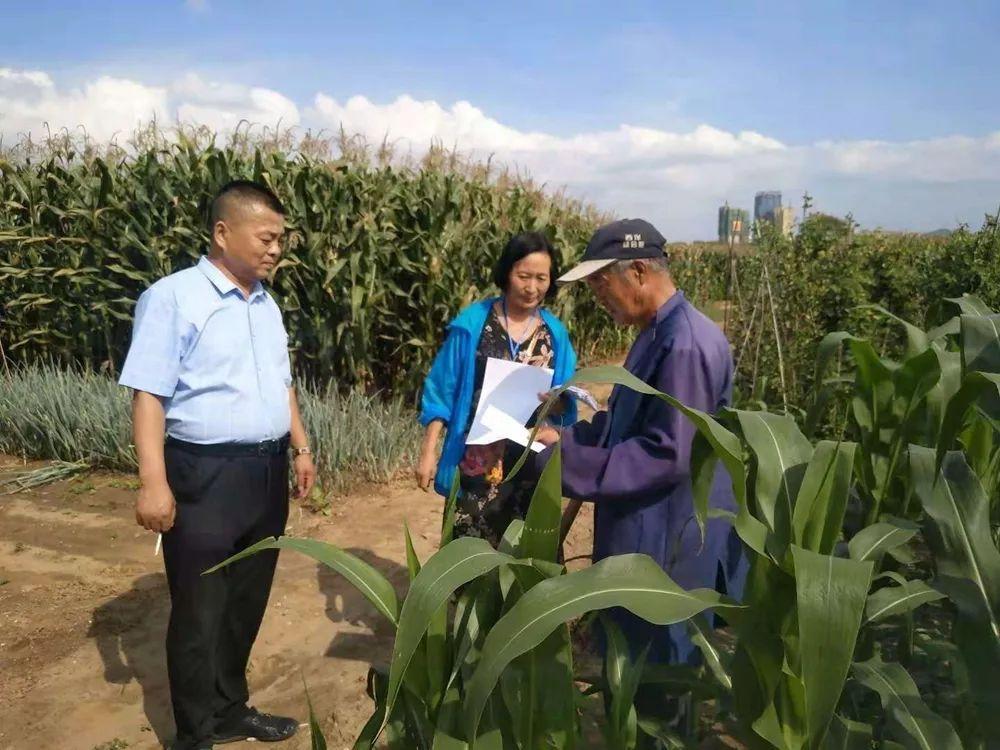 最新非洲豬瘟動(dòng)態(tài)與小巷深處的獨(dú)特風(fēng)味探索