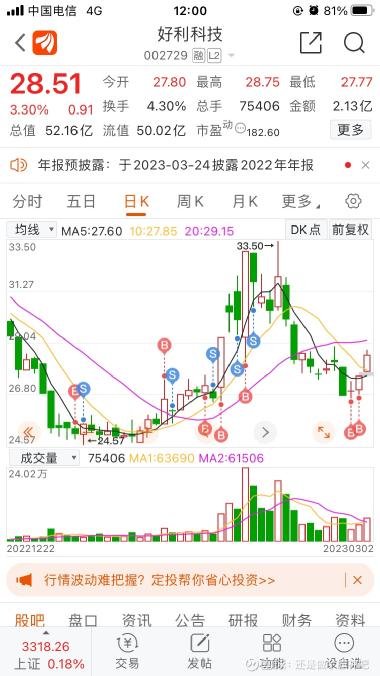 股票300474深度解析與觀點闡述