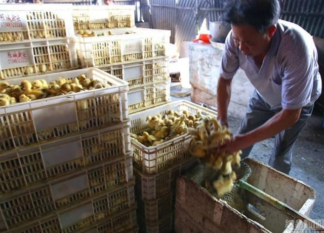 冰凍脫毛產(chǎn)品最新價(jià)格概覽