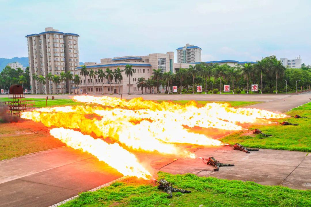 武警警官學(xué)院最新動(dòng)態(tài)與小巷深處的特色小店探秘揭秘