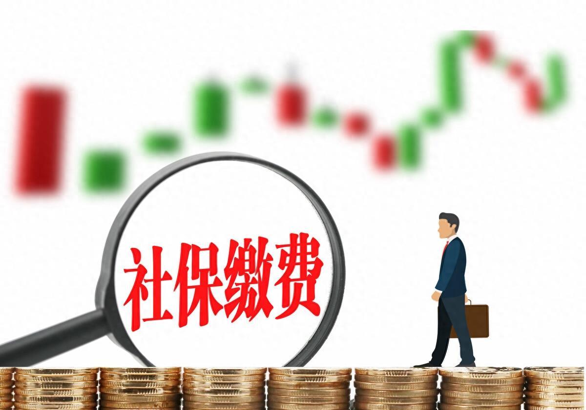 最新社保繳費(fèi)比例與小巷深處的獨(dú)特風(fēng)味探索