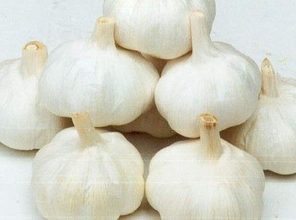 今年大蒜行情深度解析及應(yīng)對(duì)策略指南