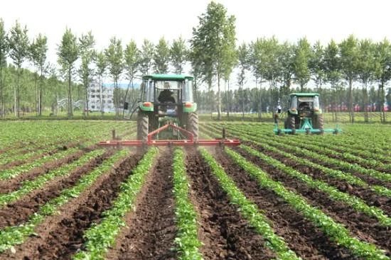 新型地膜土豆栽培技術(shù),新型地膜土豆栽培技術(shù)