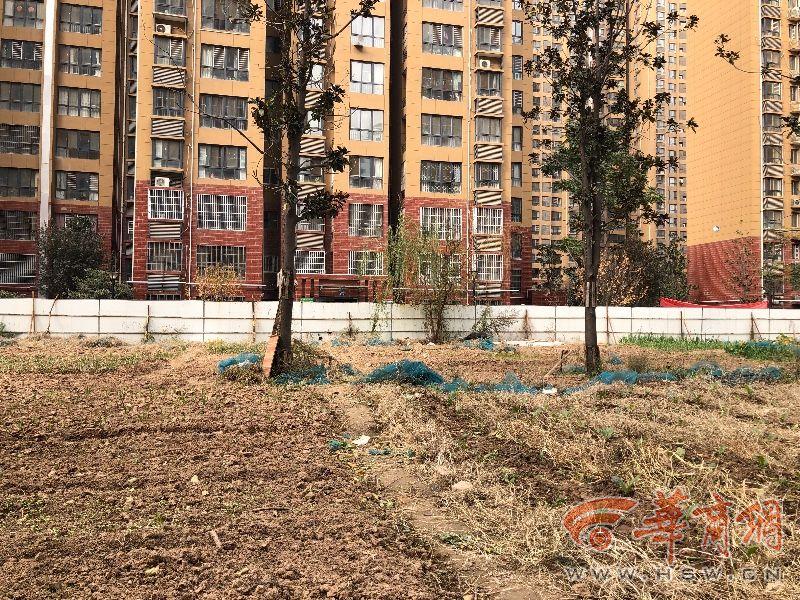 香繽國際城最新動態(tài)發(fā)布????