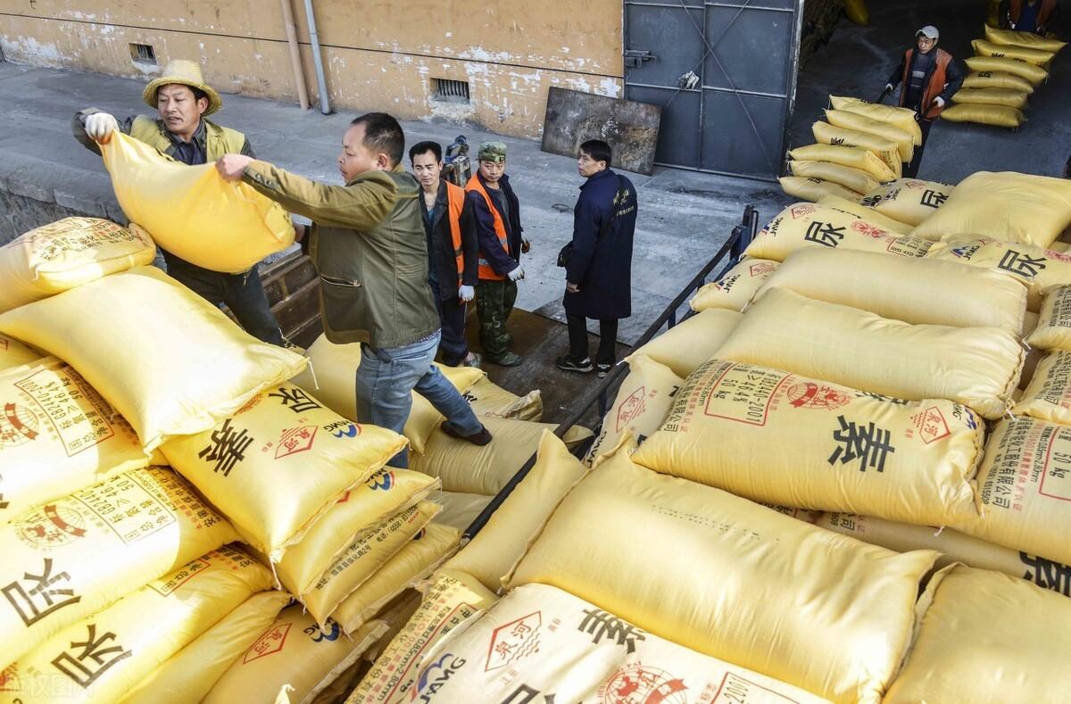 化肥最新行情動態(tài)及指南