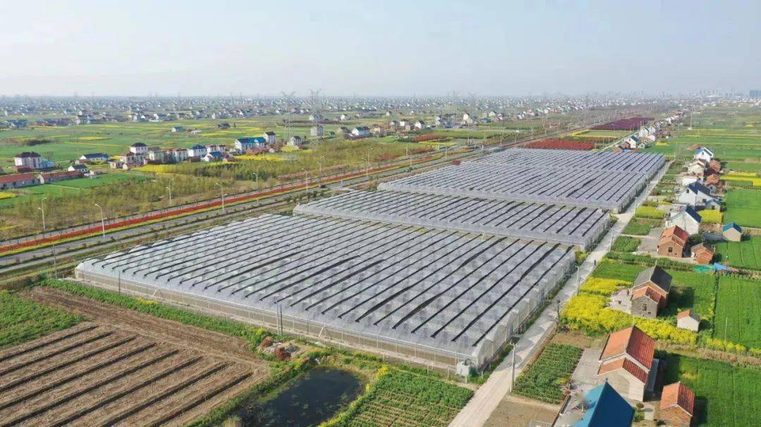 最新農(nóng)業(yè)項(xiàng)目引領(lǐng)重塑農(nóng)業(yè)未來(lái)