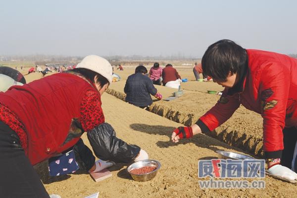 文登最新三日招聘信息匯總