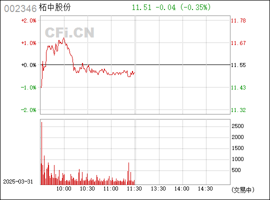 柘中股份股票最新消息解析與觀點(diǎn)速遞