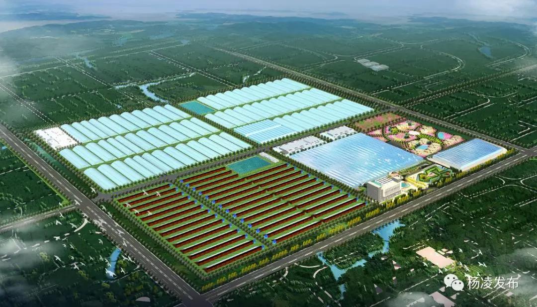 楊凌新聞網(wǎng)最新消息,小鎮(zhèn)趣事與友情的溫馨紐帶展現(xiàn)風(fēng)采