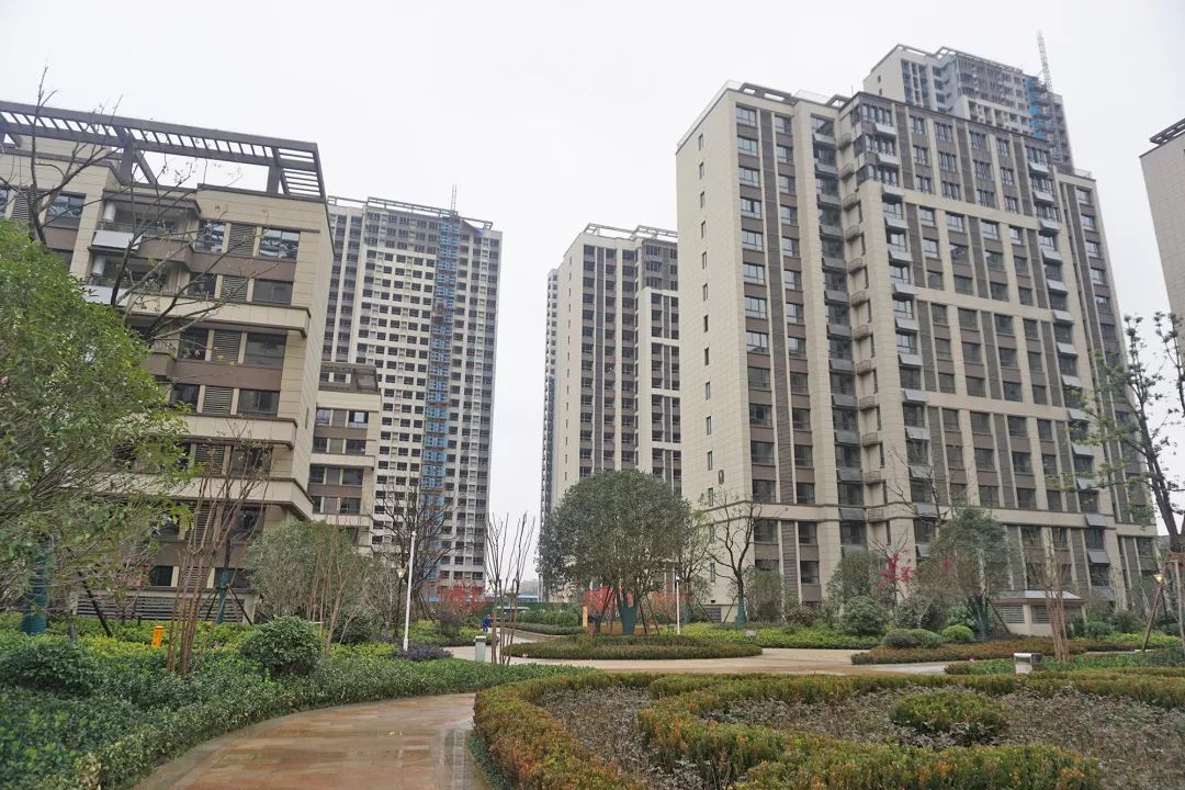 安慶天下名筑最新動態(tài)及相關(guān)論述揭秘