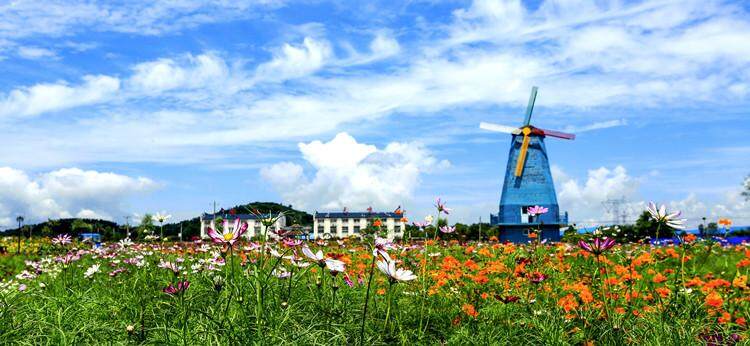 廬江縣湯池鎮(zhèn)最新新聞及獲取指南