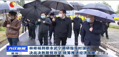 武寧最新疫情實(shí)時更新報告