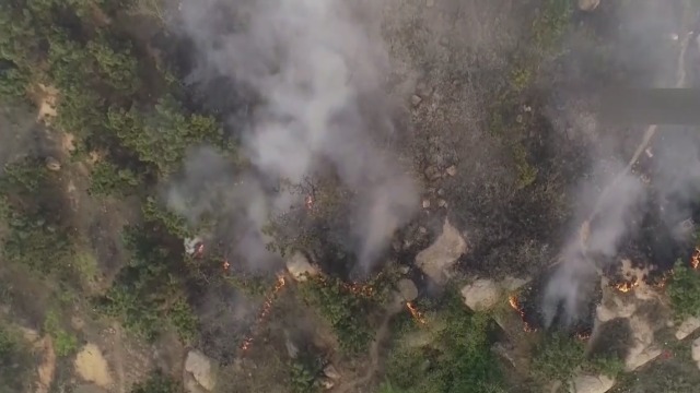 小珠山火災(zāi)最新情況及應(yīng)對(duì)山林火災(zāi)的步驟指南