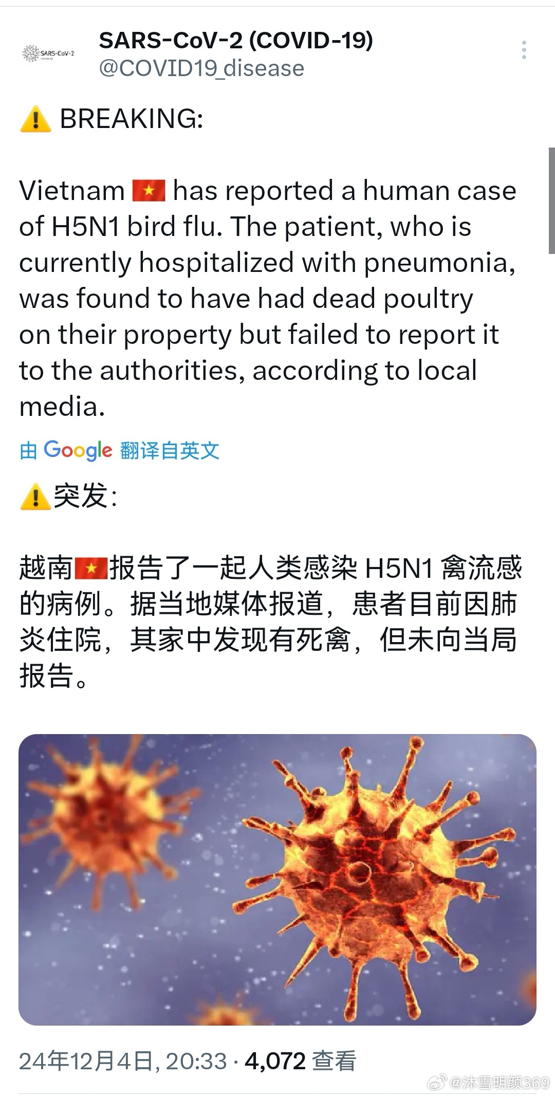 越南肺炎最新動態(tài)與小巷深處的獨特風(fēng)味