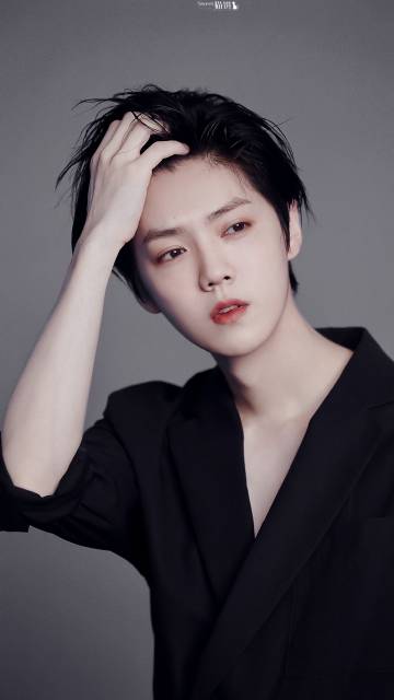 鹿教練最新分析與觀點(diǎn)闡述摘要