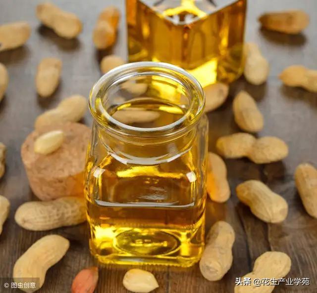 最新豆油報價獲取指南及市場行情分析