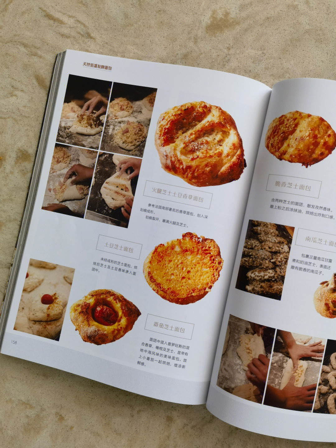 最新烘焙書深度探討與觀點闡述