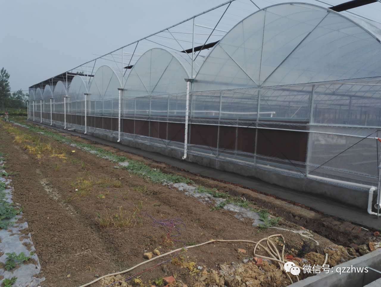 最新大棚溫室技術(shù)及其觀點論述