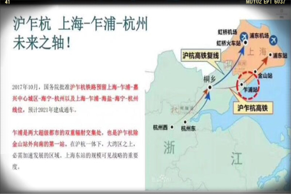 乍浦最新動態(tài)，最新消息匯總