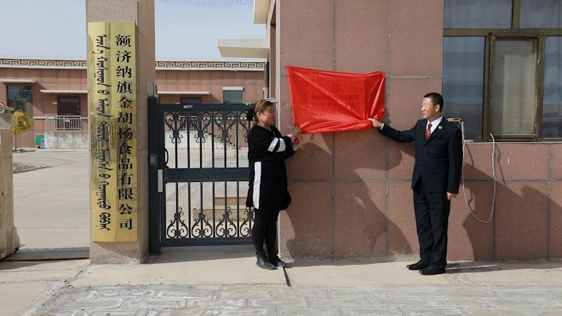 知識(shí)產(chǎn)權(quán)最新動(dòng)態(tài)與高科技產(chǎn)品引領(lǐng)科技潮流介紹