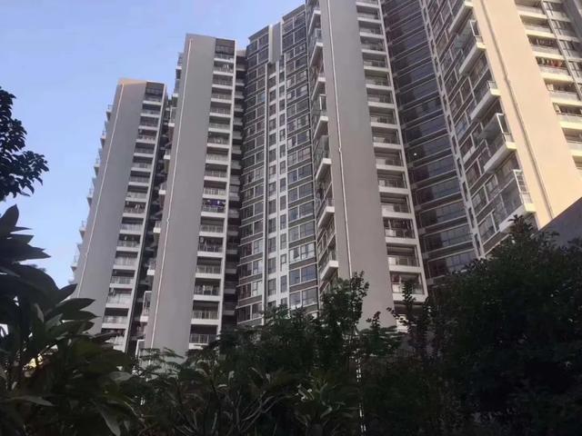 深圳最新小產(chǎn)權(quán)房動態(tài)與概述