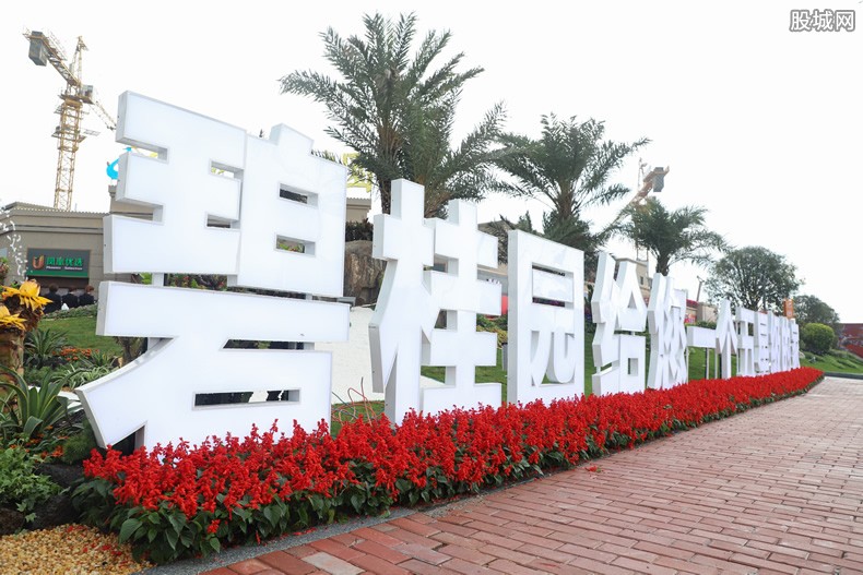 碧桂園最新事件曝光