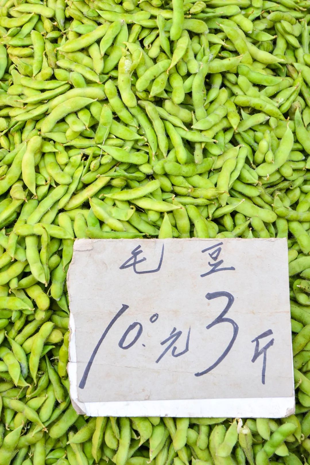 毛豆價(jià)格最新行情,毛豆價(jià)格最新行情——科技引領(lǐng)生活新潮流