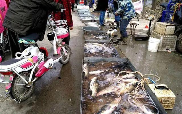 豬肉最新價(jià)格走勢(shì)圖及市場(chǎng)分析與預(yù)測(cè)報(bào)告