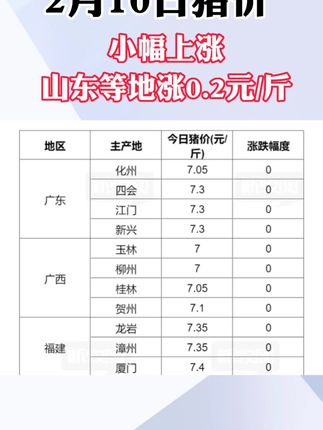 臺山市最新豬價概覽