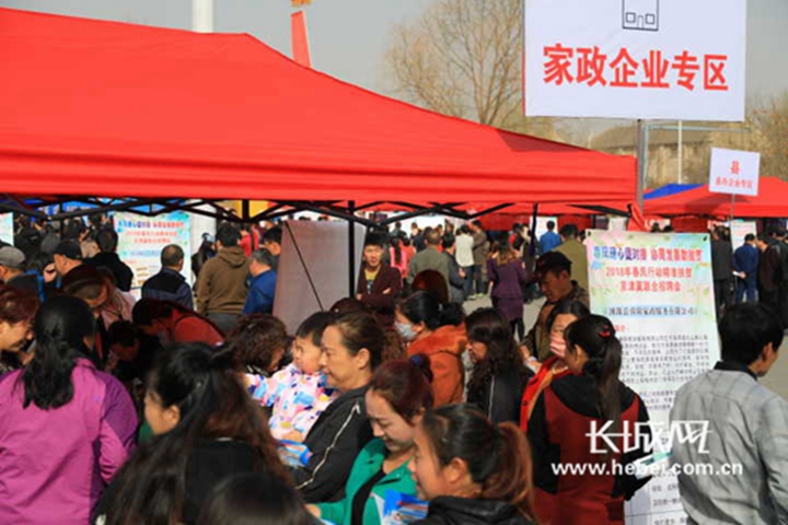 石家莊十三所最新招聘啟事概覽