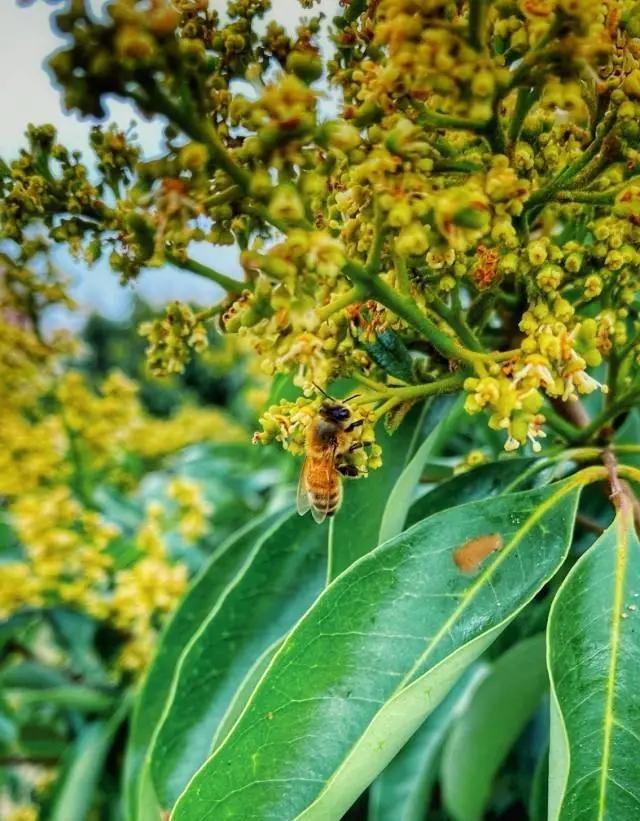 電白水東最新樓盤房價(jià)與溫馨故事概述