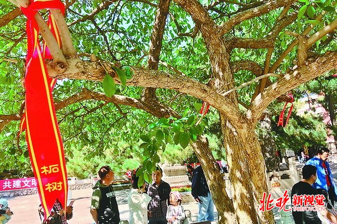 門(mén)頭溝潭柘寺最新動(dòng)態(tài)報(bào)道