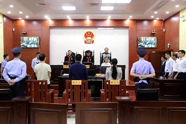 寧思專最新動態(tài)更新