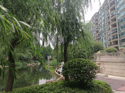 漢陽恒大綠洲最新房價動態(tài)，變化中的學(xué)習(xí)與自信的力量