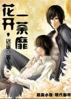 裴墨林荼蘼，時代背景下的情感糾葛與成長印記最新章節(jié)