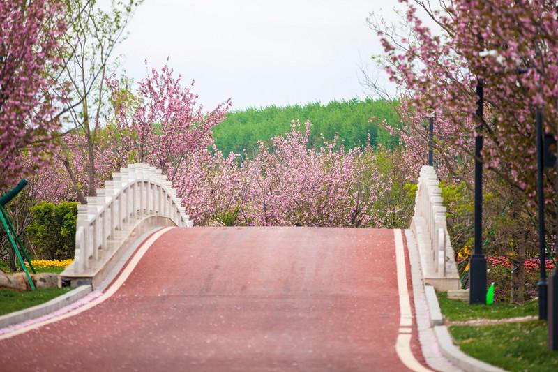 鹽城大洋灣最新動態(tài)與相關(guān)論述概述