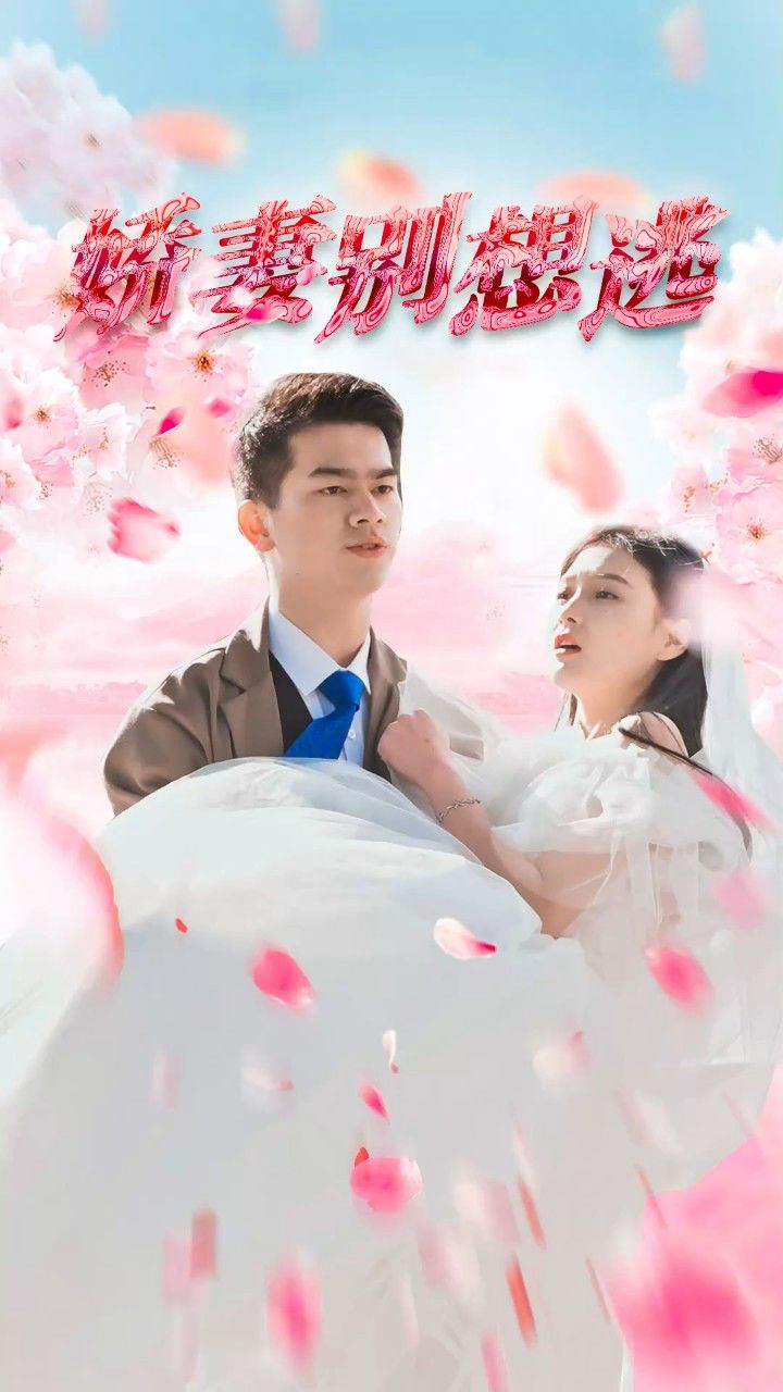 鮮妻不準(zhǔn)逃大結(jié)局最新深度探討，多維度視角下的分析