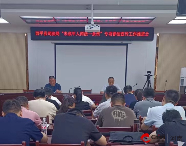 河南西平新聞最新動態(tài)，小巷深處的獨特風(fēng)味