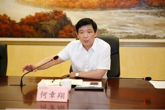 鎮(zhèn)江雷志強的最新任職，多維度視角下的深入探討